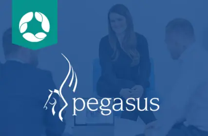 Pegasus-Accounts-Software-Column