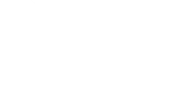 Pegasus-logo-White