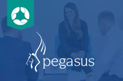 Pegasus Accounts Software Column