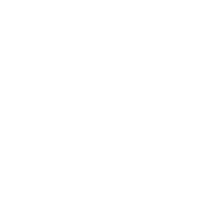 Advanced Partner Logo White