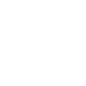 Pegasus Partner Logo White