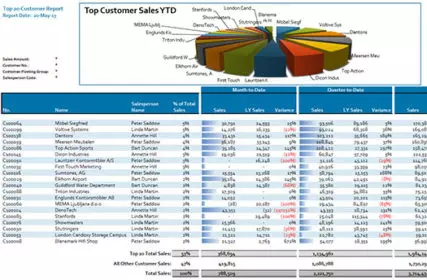 Top Customer Sales Analysis