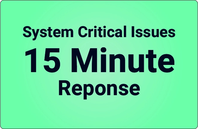 System Critical 15 Min Response
