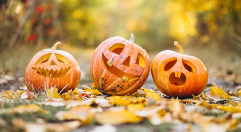 visitor attraction halloween events