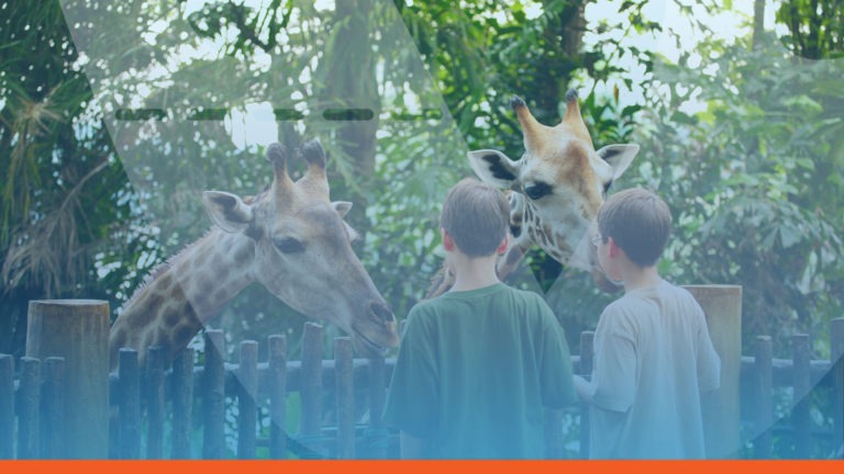 Ticketing SystemsZoos and Animal Attractions